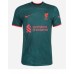 Liverpool Roberto Firmino #9 Fußballbekleidung 3rd trikot 2022-23 Kurzarm